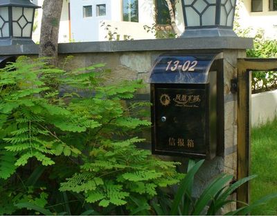 Google 图片搜索 的结果