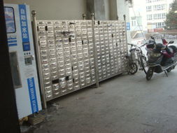 新春将至,破损信报箱应及时清理更新 百姓有话